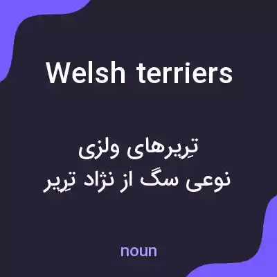 معنی welsh terriers به فارسی معنی welsh terriers به فارسی
