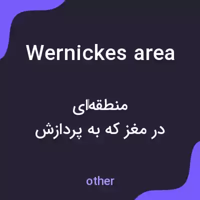 معنی wernickes area به فارسی معنی wernickes area به فارسی