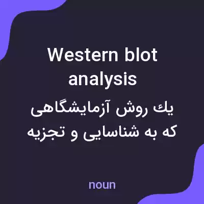 معنی western blot analysis به فارسی معنی western blot analysis به فارسی