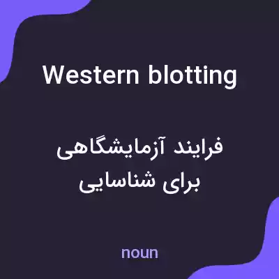 معنی western blotting به فارسی معنی western blotting به فارسی