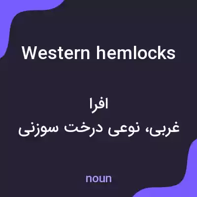 معنی western hemlocks به فارسی معنی western hemlocks به فارسی
