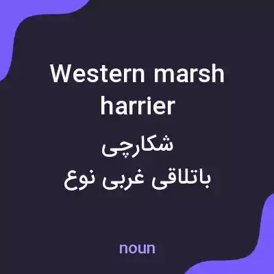 معنی western marsh harrier به فارسی معنی western marsh harrier به فارسی