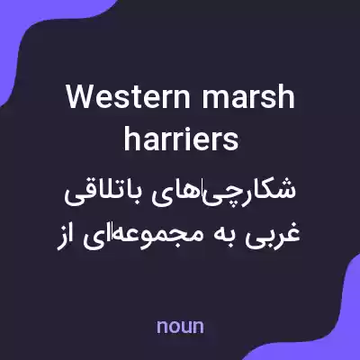 معنی western marsh harriers به فارسی معنی western marsh harriers به فارسی