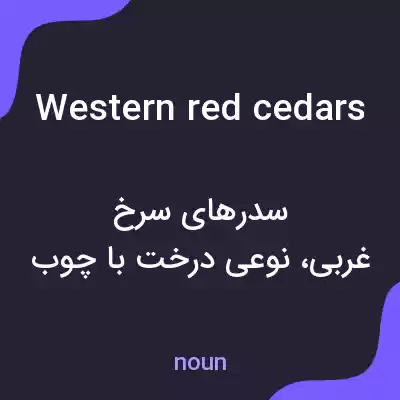 معنی western red cedars به فارسی معنی western red cedars به فارسی