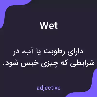 معنی wet به فارسی معنی wet به فارسی