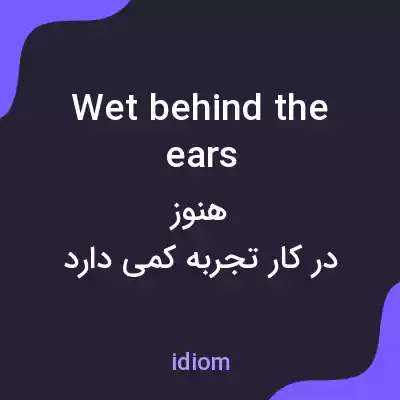معنی wet behind the ears به فارسی معنی wet behind the ears به فارسی