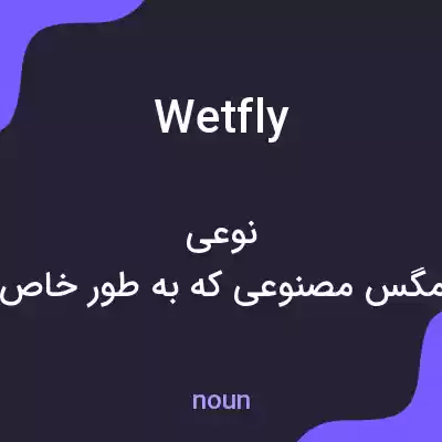 معنی wet fly به فارسی