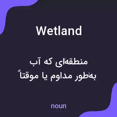 معنی wetland به فارسی معنی wetland به فارسی