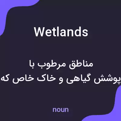 معنی wetlands به فارسی معنی wetlands به فارسی