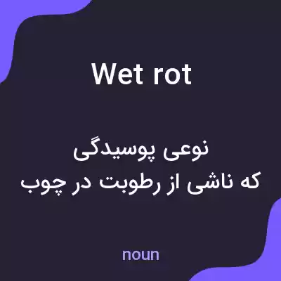 معنی wet rot به فارسی معنی wet rot به فارسی