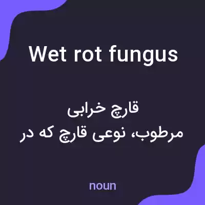 معنی wet rot fungus به فارسی معنی wet rot fungus به فارسی