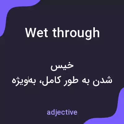 معنی wet through به فارسی معنی wet through به فارسی
