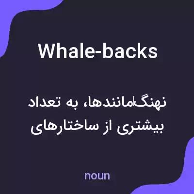 معنی whale-backs به فارسی معنی whale-backs به فارسی