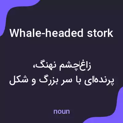 معنی whale-headed stork به فارسی معنی whale-headed stork به فارسی