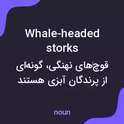 معنی whale-headed storks به فارسی معنی whale-headed storks به فارسی
