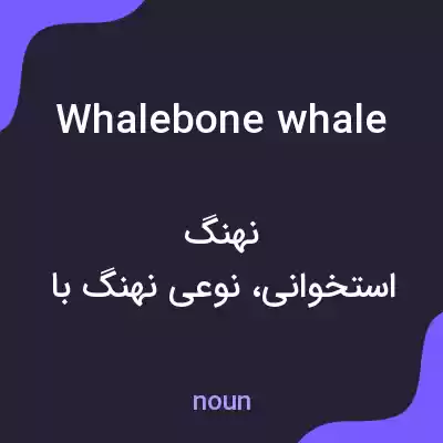 معنی whalebone whale به فارسی معنی whalebone whale به فارسی