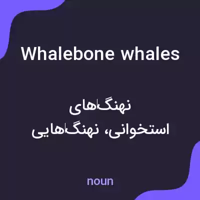 معنی whalebone whales به فارسی معنی whalebone whales به فارسی