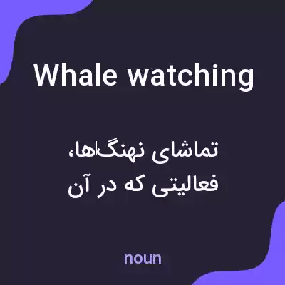 معنی whale watching به فارسی معنی whale watching به فارسی