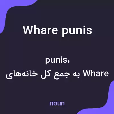 معنی wharepunis به فارسی معنی wharepunis به فارسی