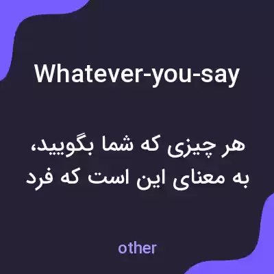 معنی whatever-you-say به فارسی