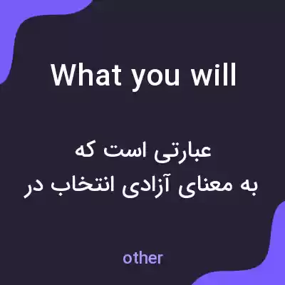 معنی what you will به فارسی معنی what you will به فارسی