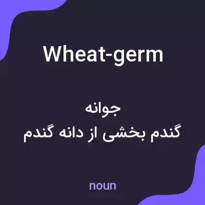 معنی wheat-germ به فارسی