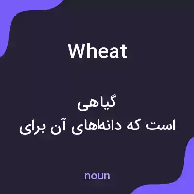 معنی wheat به فارسی معنی wheat به فارسی