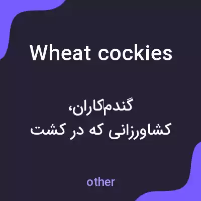 معنی wheat cockies به فارسی معنی wheat cockies به فارسی