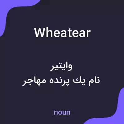 معنی wheatear به فارسی معنی wheatear به فارسی
