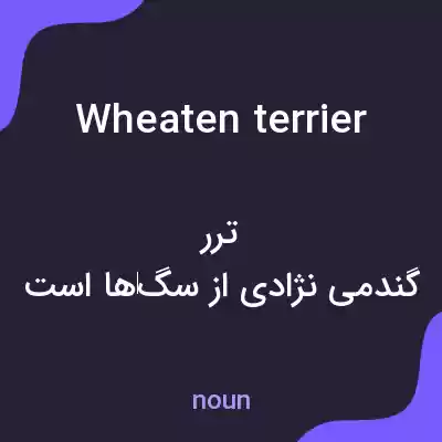 معنی wheaten terrier به فارسی معنی wheaten terrier به فارسی