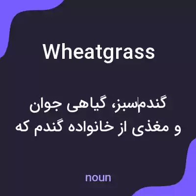 معنی wheatgrass به فارسی معنی wheatgrass به فارسی