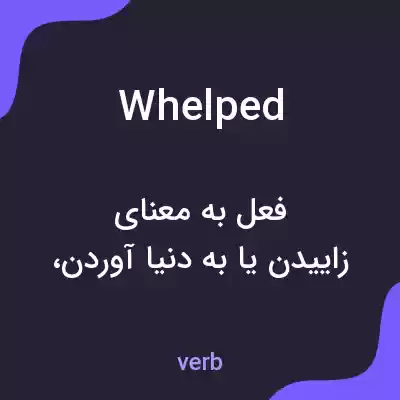 معنی whelped به فارسی معنی whelped به فارسی