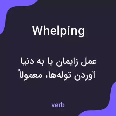 معنی whelping به فارسی معنی whelping به فارسی