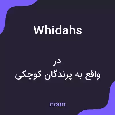 معنی whidahs به فارسی معنی whidahs به فارسی