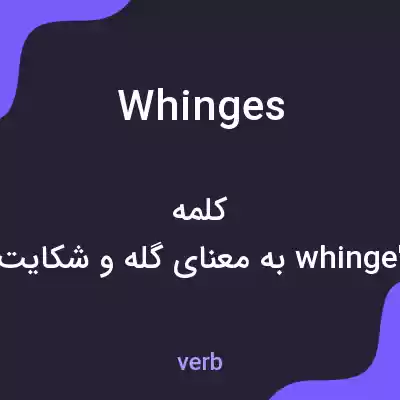 معنی whinges به فارسی معنی whinges به فارسی