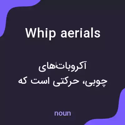 معنی whip aerials به فارسی