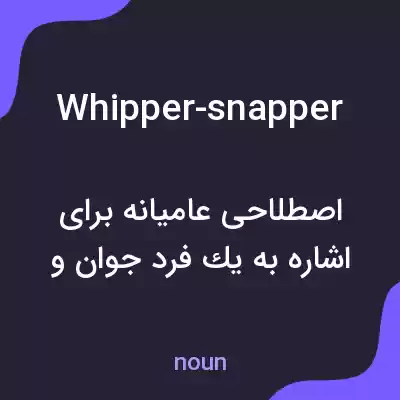 معنی whipper-snapper به فارسی معنی whipper-snapper به فارسی