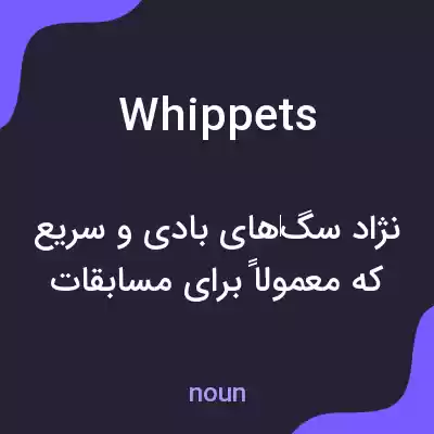 معنی whippets به فارسی معنی whippets به فارسی