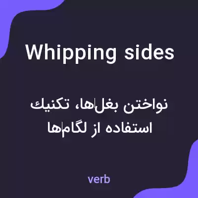 معنی whipping sides به فارسی معنی whipping sides به فارسی