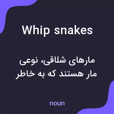 معنی whip snakes به فارسی معنی whip snakes به فارسی