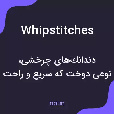 معنی whipstitches به فارسی معنی whipstitches به فارسی