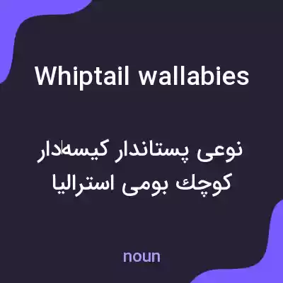 معنی whiptail wallabies به فارسی معنی whiptail wallabies به فارسی