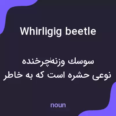 معنی whirligig beetle به فارسی معنی whirligig beetle به فارسی