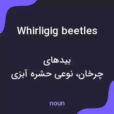 معنی whirligig beetles به فارسی معنی whirligig beetles به فارسی