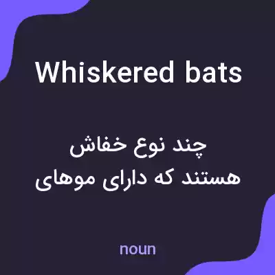 معنی whiskered bats به فارسی معنی whiskered bats به فارسی