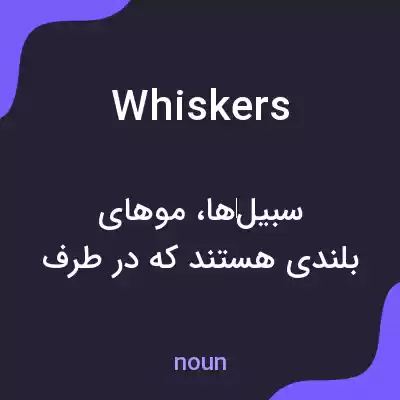 معنی whiskers به فارسی معنی whiskers به فارسی