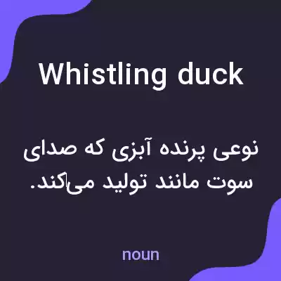 معنی whistling duck به فارسی معنی whistling duck به فارسی