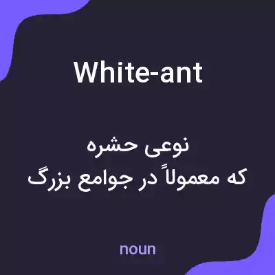 معنی white-ant به فارسی معنی white-ant به فارسی
