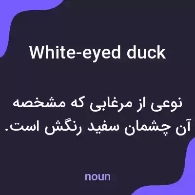 معنی white-eyed duck به فارسی معنی white-eyed duck به فارسی