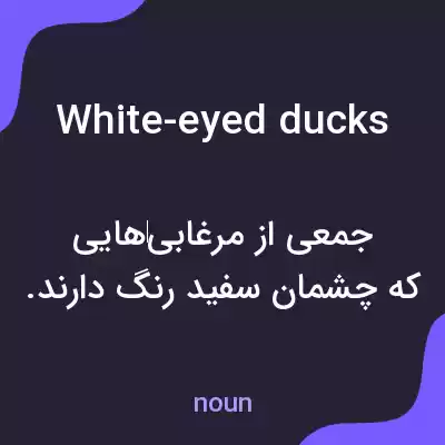 معنی white-eyed ducks به فارسی معنی white-eyed ducks به فارسی